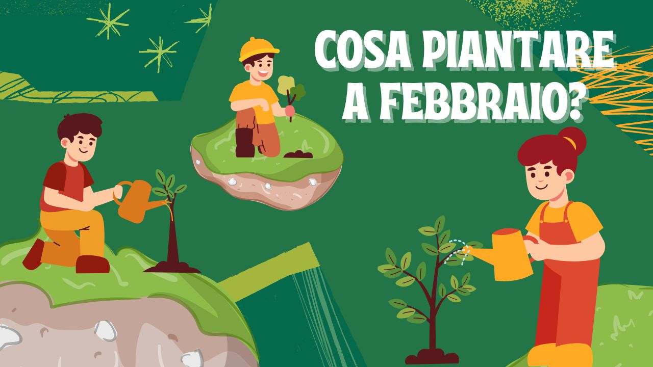 cosa piantare febbraio