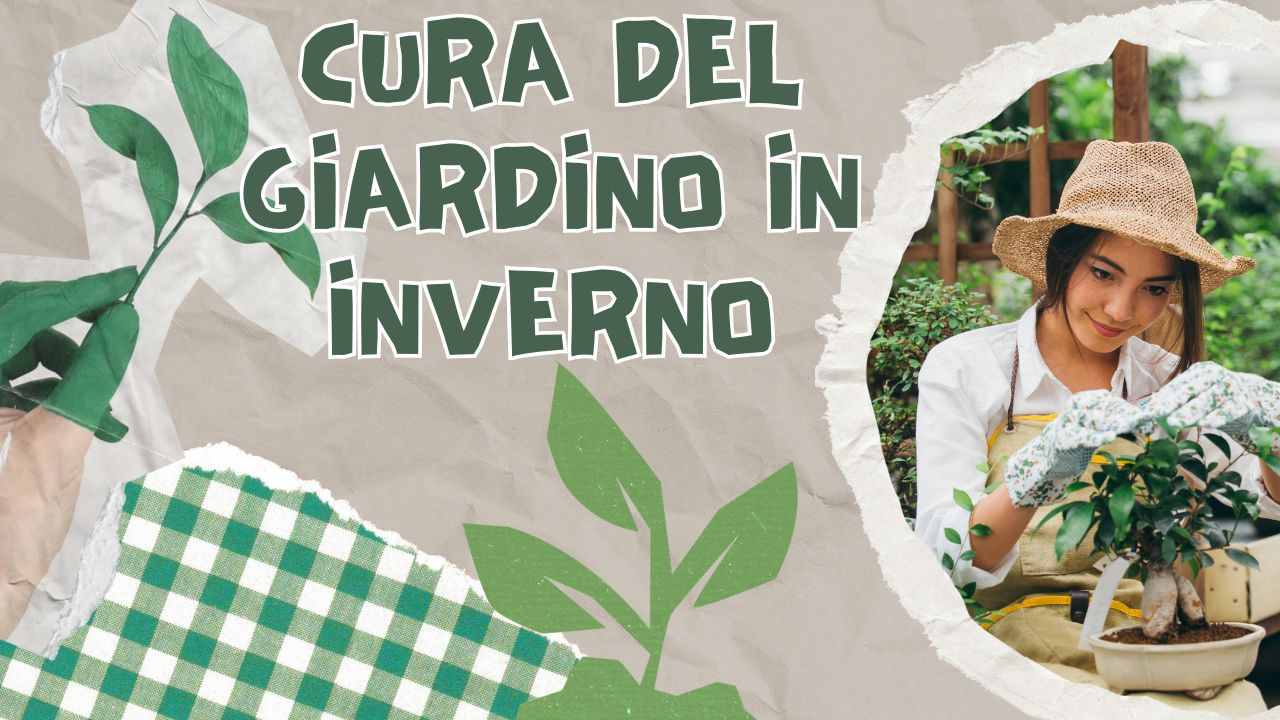 cosa fare in giardino in inverno