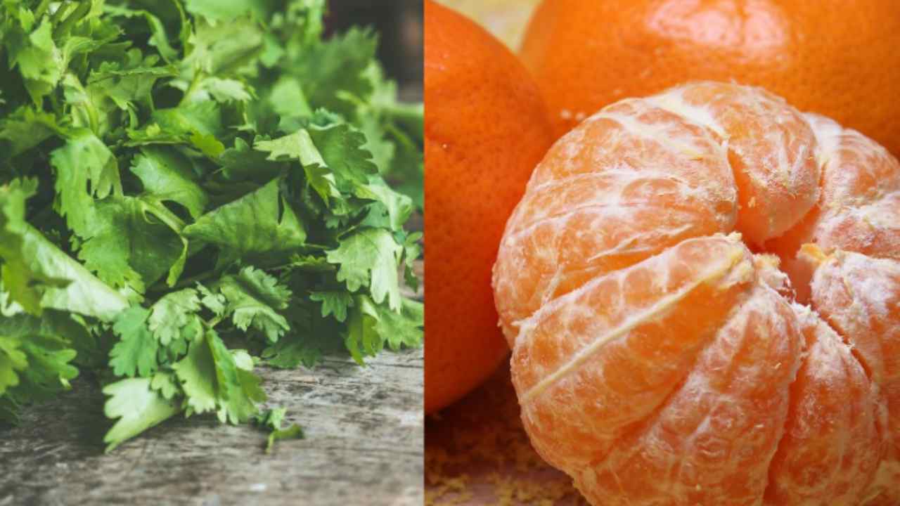 Frutta e verdura