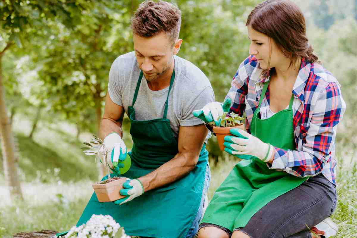 Giardinaggio