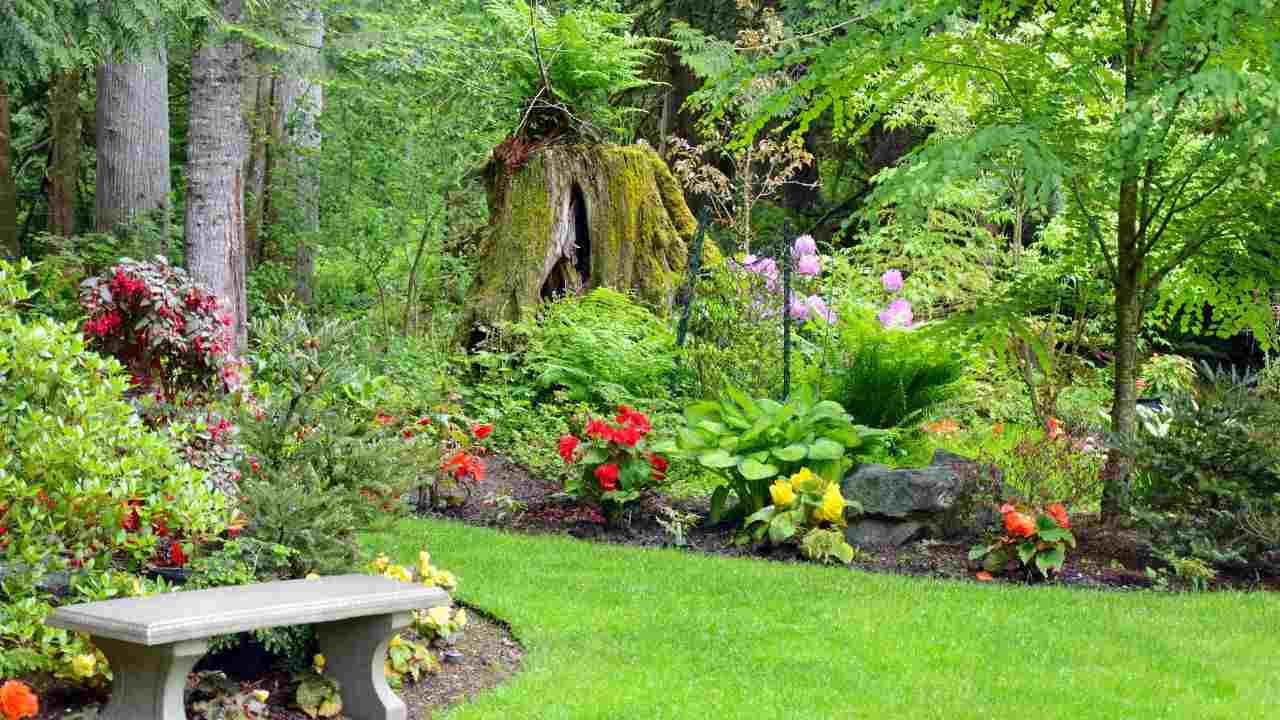 giardino curato