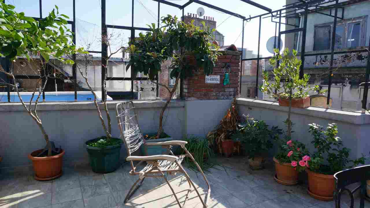 piante in balcone