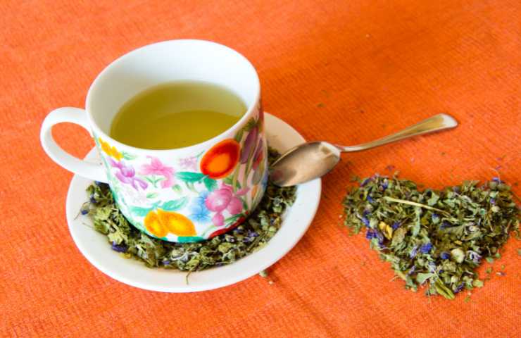 tisana alla Malva
