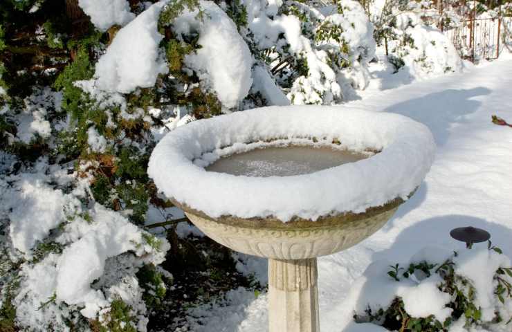 vasca uccelli innevata